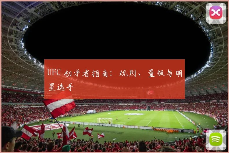 UFC 初学者指南:规则、量级与明星选手