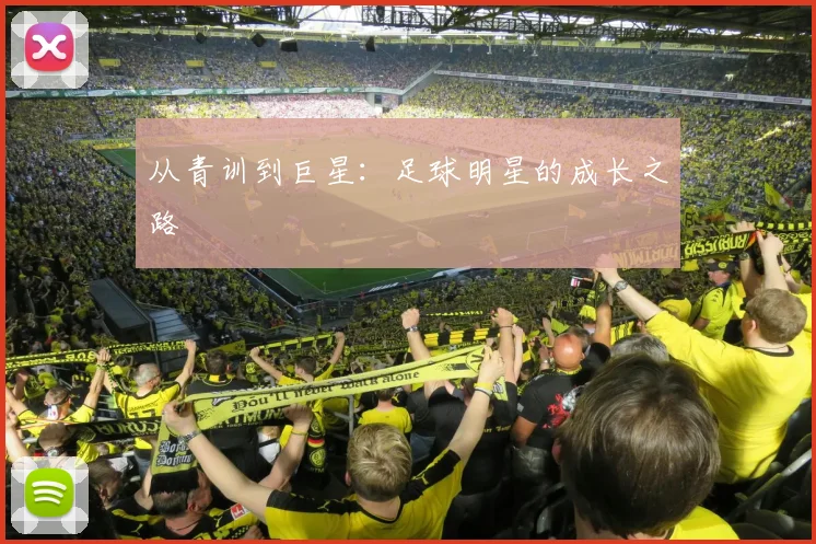 从青训到巨星：足球明星的成长之路