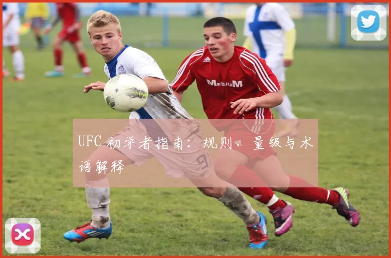 UFC 初学者指南:规则、量级与术语解释